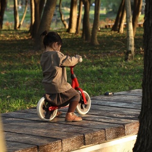 Balance bike QPlay Trainer Rosu - Img 7