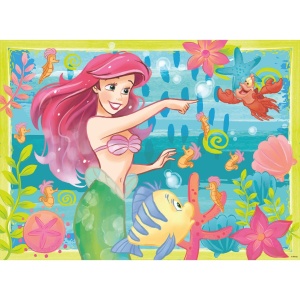 Puzzle Ariel, 500 Piese si Stickere - Img 2