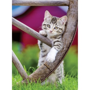 Ravensburger - Puzzle pisicute 2x500 piese - Img 2