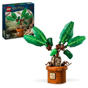 Set LEGO Harry Potter - Matraguna (76433) - Img 1