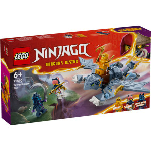 Set LEGO Ninjago - Tanarul dragon Riyu (71810) - Img 2