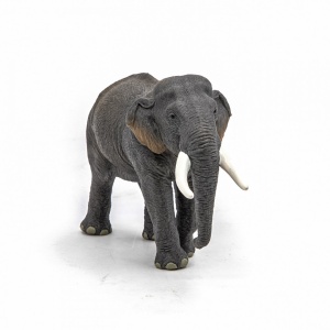 Papo Figurina Elefant Asiatic - Img 4