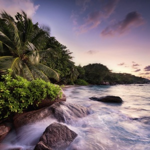 Puzzle Insula Praslin, 1000 Piese - Img 2