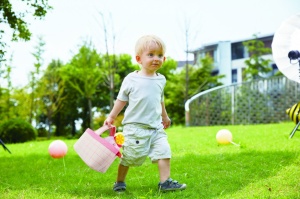 Hape Cosuletul De Picnic - Img 4