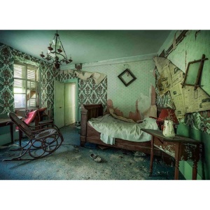 Puzzle Camera Parasita, 1000 Piese - Img 2