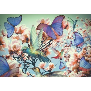 Puzzle Pasarea Colibri, 300 Piese - Img 2