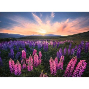 Puzzle Camp Cu Lupin, 500 Piese - Img 2