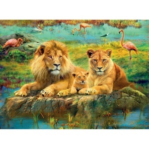 Puzzle Familie De Lei, 500 Piese - Img 2