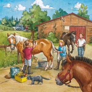 Puzzle Lumea Cailor , 3X49 Piese - Img 4