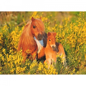 Puzzle Ponei, 100 Piese - Img 4