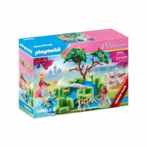 PICNICUL PRINTESELOR