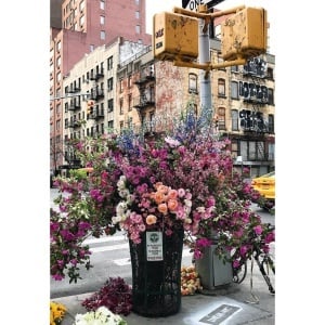Puzzle Flori In New York, 300 Piese - Img 2