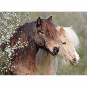 Puzzle Ponei, 150 Piese - Img 2