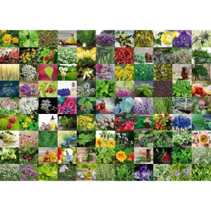 Puzzle 99 De Plante Si Condimente, 1000 Piese - Img 2