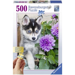 Puzzle Catel Husky, 500 Piese