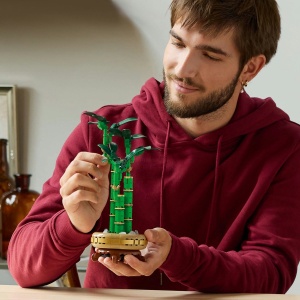 Set LEGO Creator Expert - Bambus norocos (10344) - Img 2
