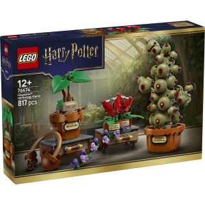 Set LEGO Harry Potter - Plante pentru ora de ierbologie de la Hogwarts (76474) - Img 2