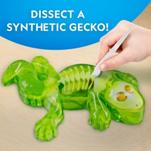 National Geographic - Kit creativ laborator de disectie soparla - Img 3