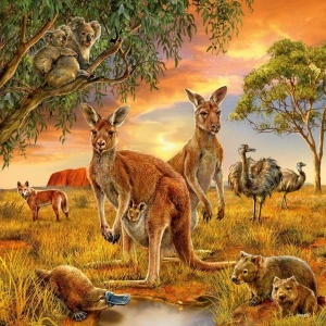 Puzzle Animalele Pamantului, 3X49 Piease - Img 3