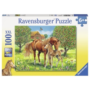 Puzzle Cai Pe Camp, 100 Piese