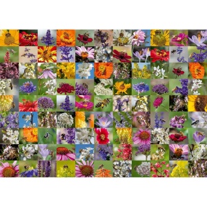 Puzzle Colaj Cu Albine Si Flori, 1000 Piese - Img 2