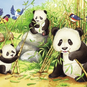 Puzzle Koala Si Panda, 2X24 Piese - Img 2