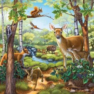 Puzzle Padure, Zoo Si Animale Domestice, 3X49 Piese - Img 3