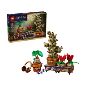 Set LEGO Harry Potter - Plante pentru ora de ierbologie de la Hogwarts (76474)