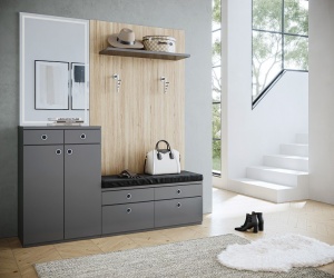 Buton mobila hol 2503-50N1 inox Siro