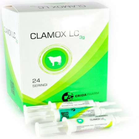 Clamox LC 1 seringa