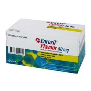 Enroxil Flavour 50 mg 10 comprimate