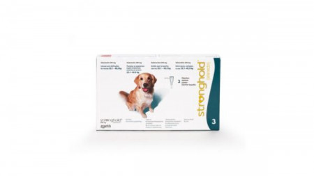 Stronghold Caine 240 mg (20 - 40 kg), 3 pipete