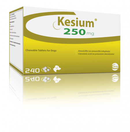 Kesium 250 mg amoxicilina + acid clavulanic 1 comprimat palatabil