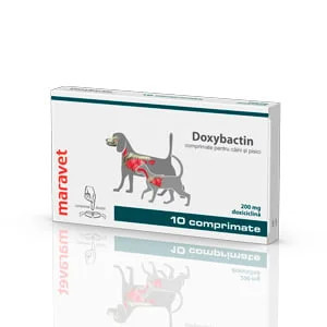 Doxybactin 200 mg ,1comprimat