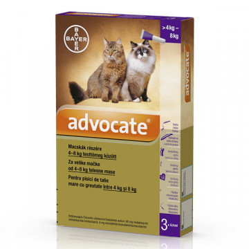 Advocate Cat 4-8 kg 1 pipeta