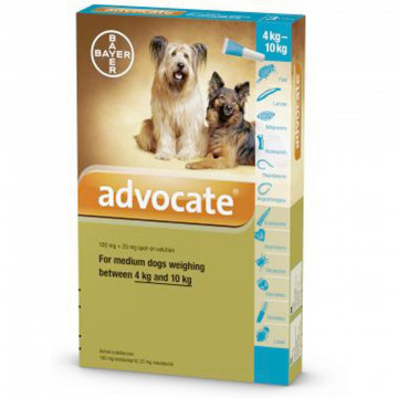 Advocate dog 4-10 kg x 1 pipeta