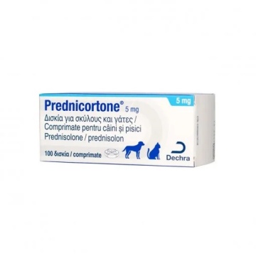 Prednicortone 5 mg prednisolon 1 comprimat