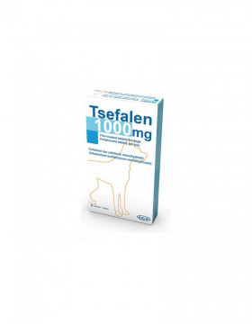 Tsefalen 1000mg
