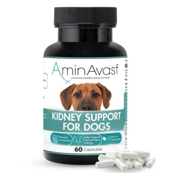 AminAvast Caine 60 capsule