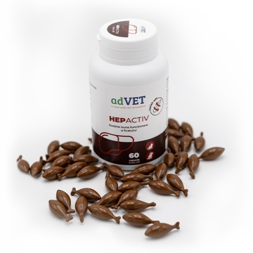 Hepactiv Twist Off 1 capsula