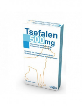 Tsefalen 500mg