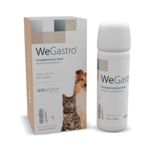WeGastro flacon 60 ml