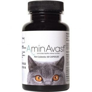 AminAvast cat 300mg 60cp