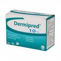 Dermipred 10mg prednisolon 1 comprimat