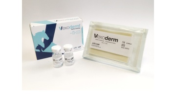 VEXODERM pansament de plaga 10x7 cm
