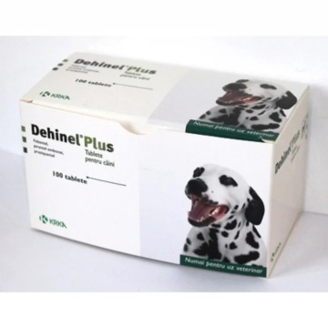 Dehinel Plus flovour Caine 1 tableta