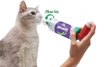 Dispozitiv de administrare aerosoli feline AeroKat