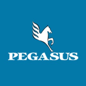 Pegasus