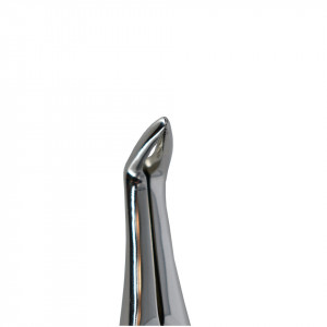 Cleste extractie radacini superiore