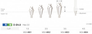 Bont multiunit drept [Multiunit Straight Abutment]